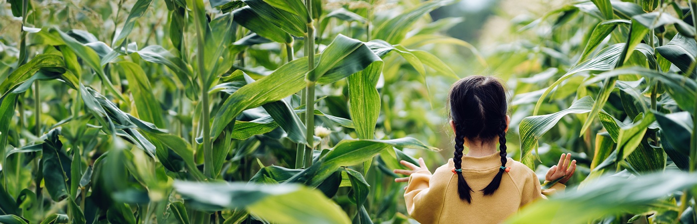 Young girl walking through a field of tall crops